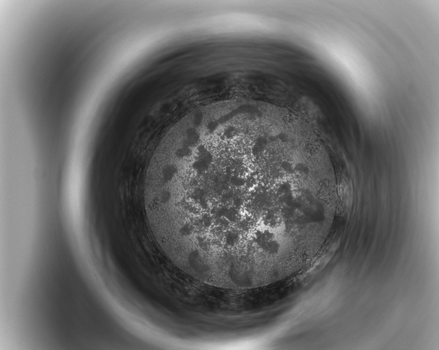 X0000096420765200801311412