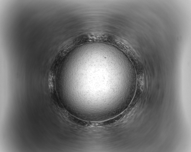 X0000096420770200801311411