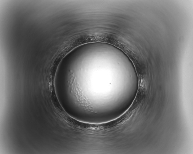 X0000096420771200801311411