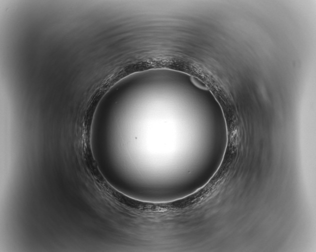 X0000096420772200801311411