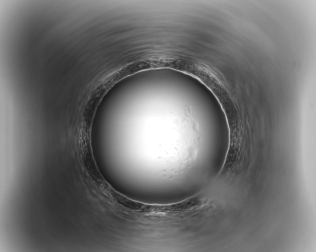 X0000096420773200801311411