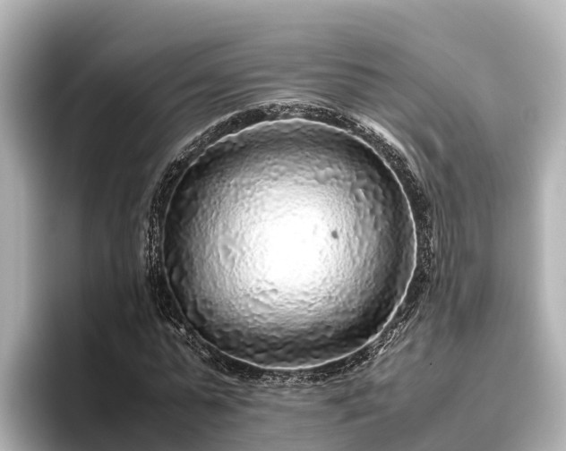 X0000096420775200801311411