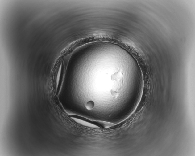 X0000096420776200801311411