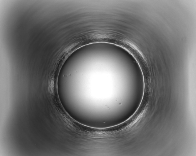 X0000096420777200801311411