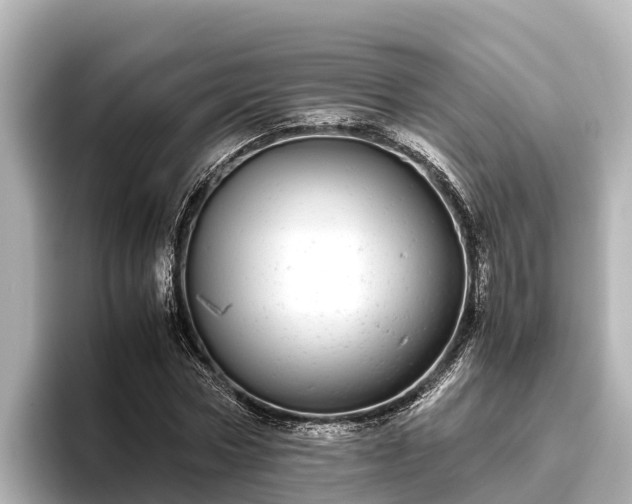 X0000096420778200801311411