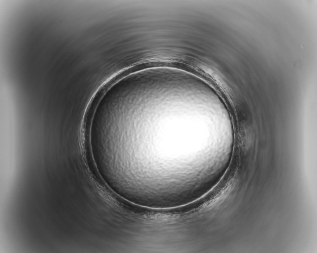 X0000096420779200801311411