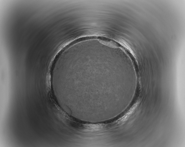 X0000096420781200801311411