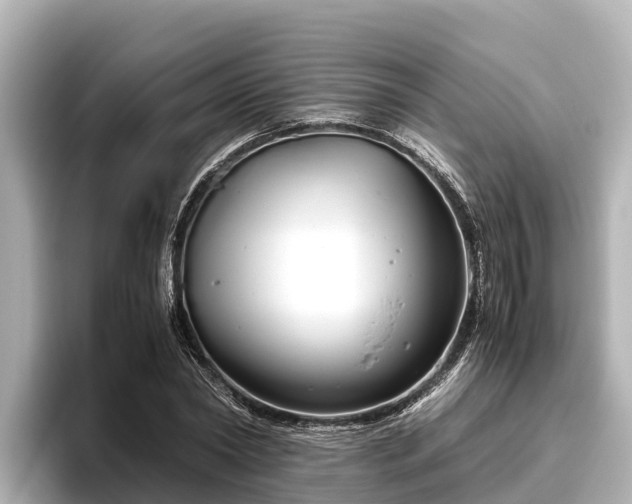X0000096420782200801311411