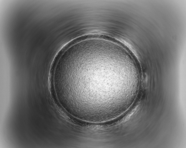 X0000096420783200801311411