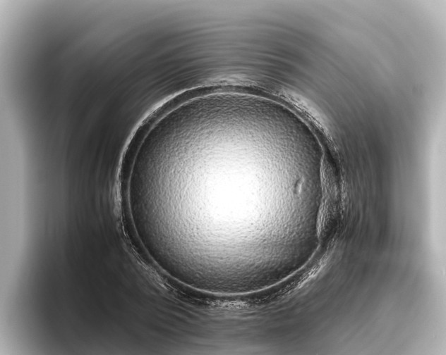 X0000096420784200801311411