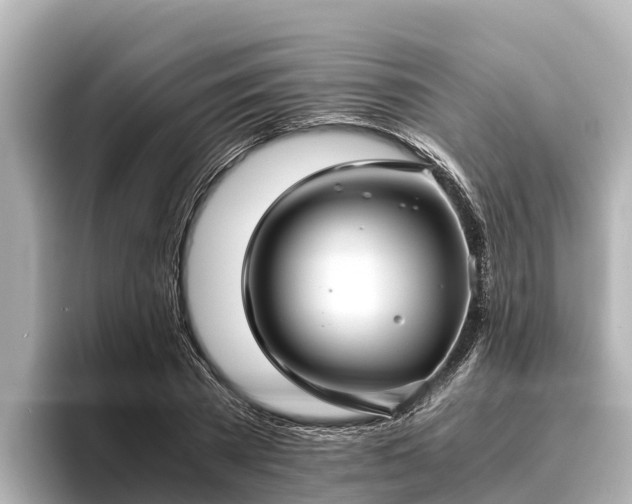 X0000096420785200801311411