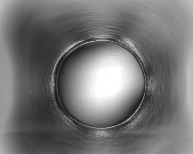 X0000096420787200801311411