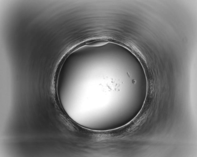 X0000096420789200801311411