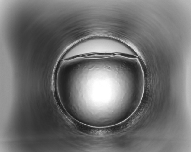 X0000096420791200801311411