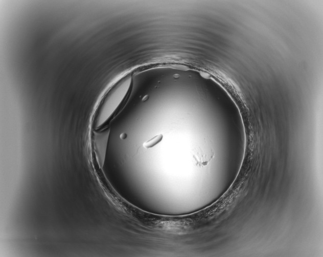 X0000096420792200801311411