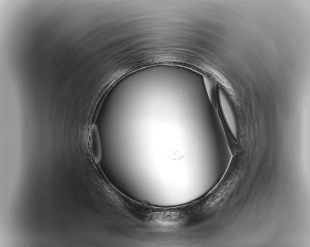 X0000096420793200801311411