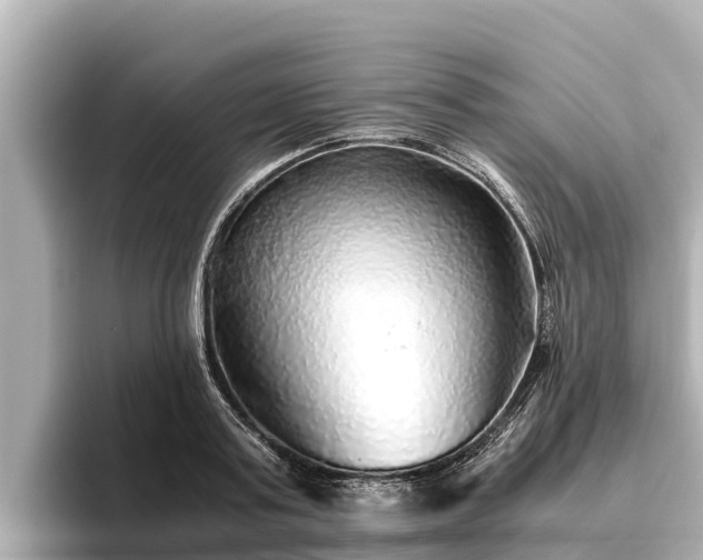 X0000096420795200801311411