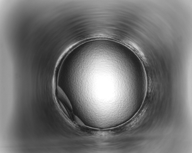 X0000096420796200801311411
