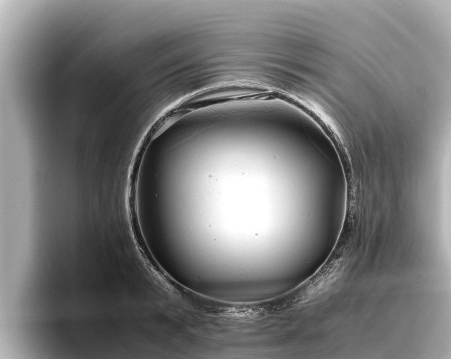 X0000096420799200801311411