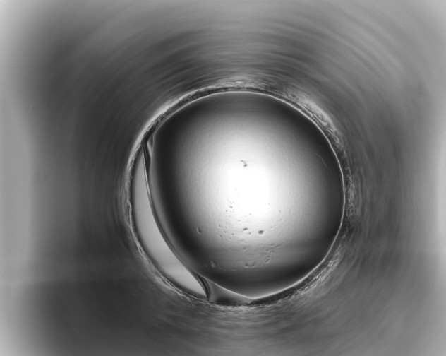 X0000096420800200801311411