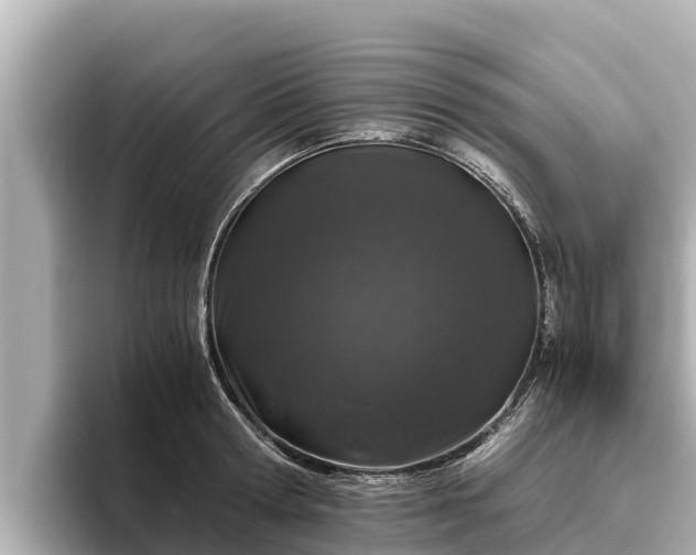 X0000096420802200801311411