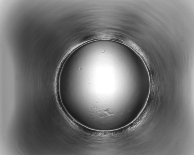 X0000096420803200801311411