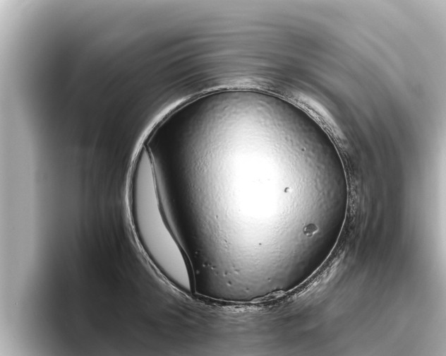 X0000096420804200801311411