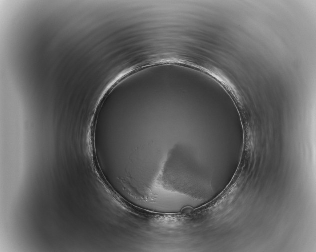 X0000096420806200801311411