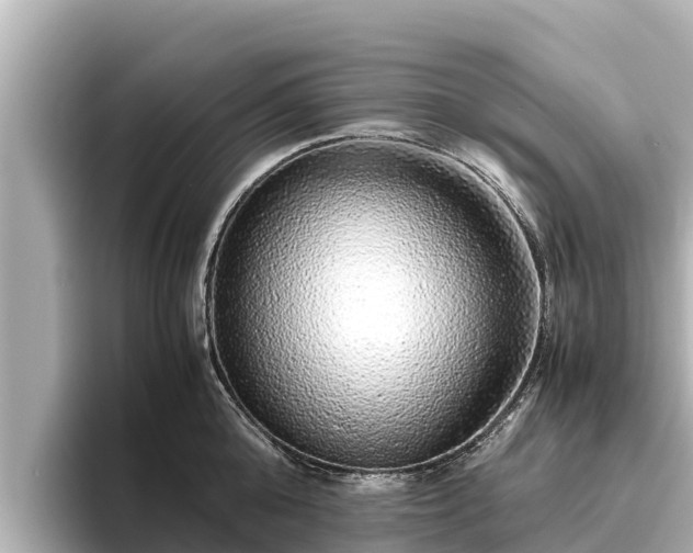 X0000096420808200801311411