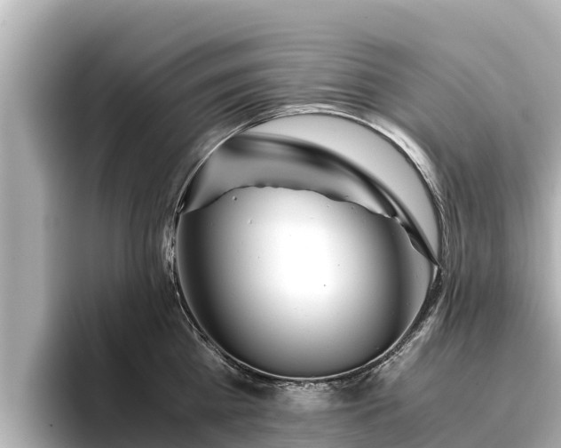 X0000096420809200801311411