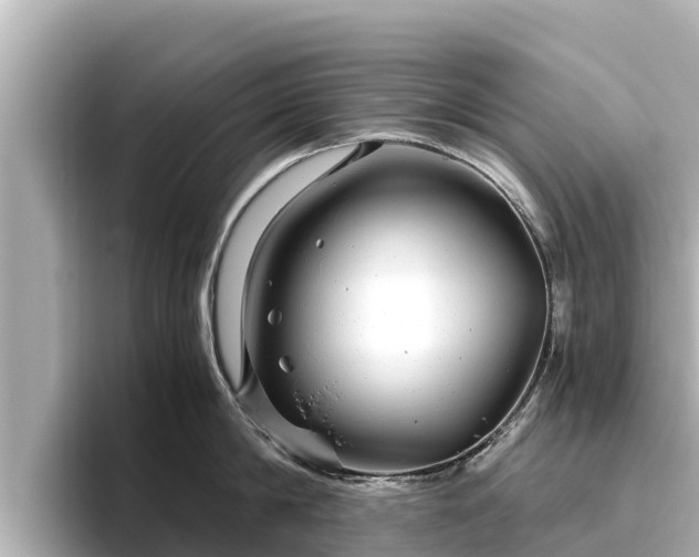 X0000096420814200801311411