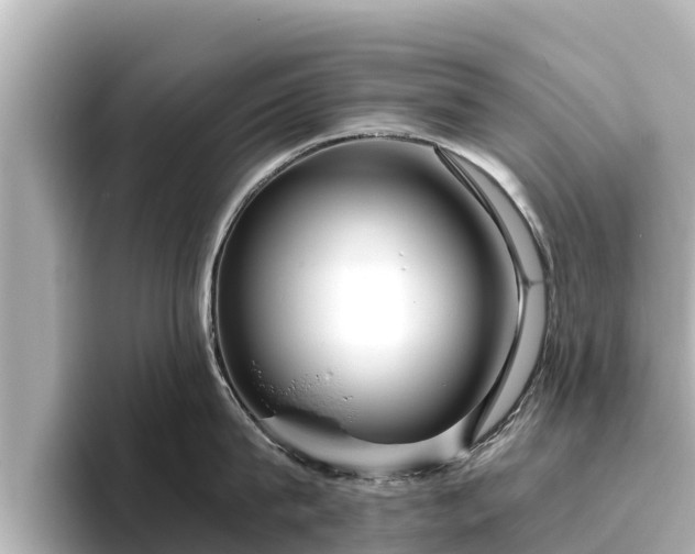 X0000096420815200801311411