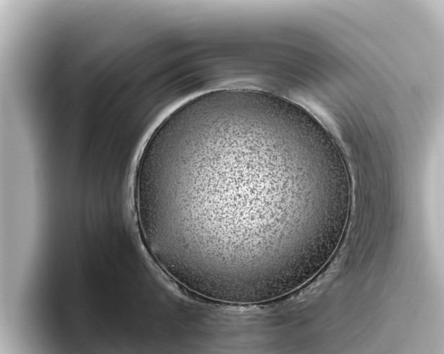 X0000096420816200801311411