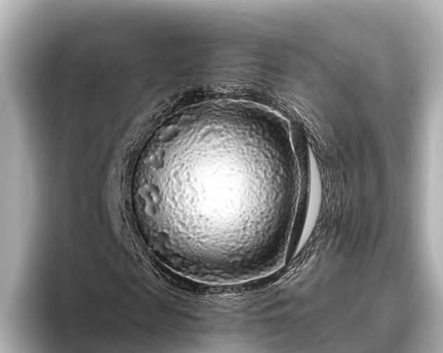 X0000096420817200801311410