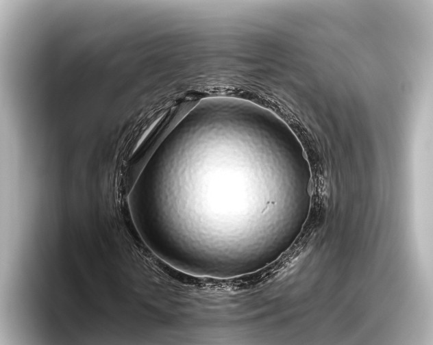 X0000096420818200801311410