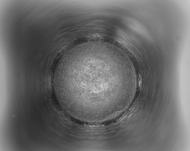 X0000096420819200801311410