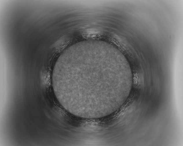X0000096420820200801311410