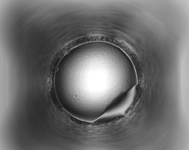 X0000096420821200801311410
