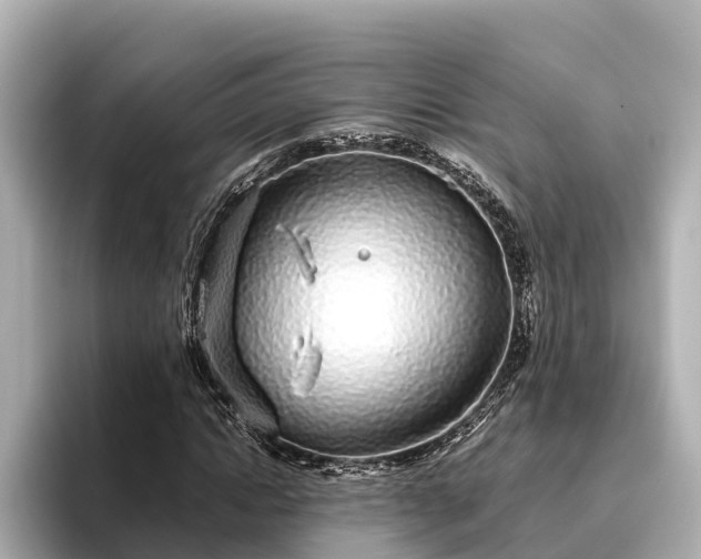 X0000096420822200801311410