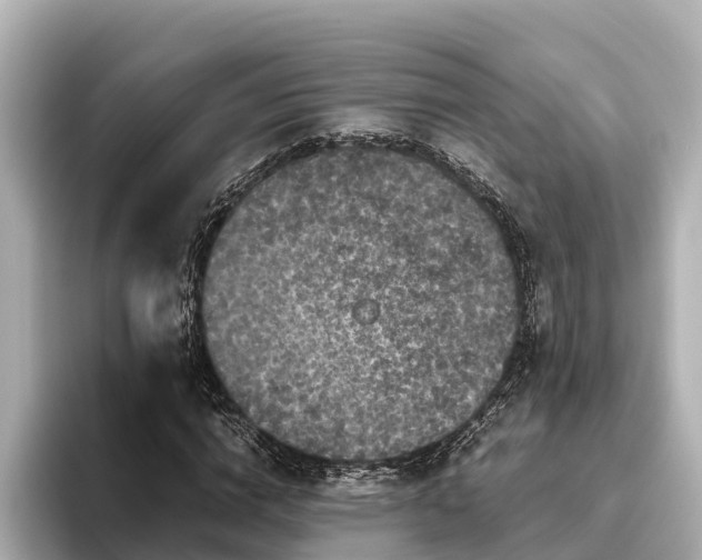 X0000096420824200801311410