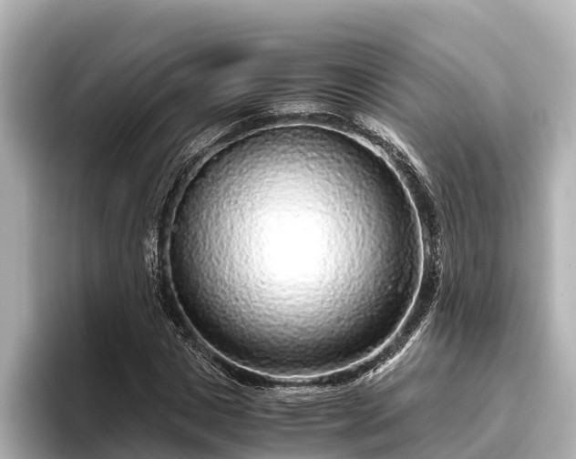 X0000096420825200801311410