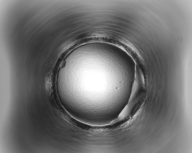 X0000096420826200801311410