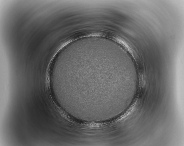 X0000096420827200801311410