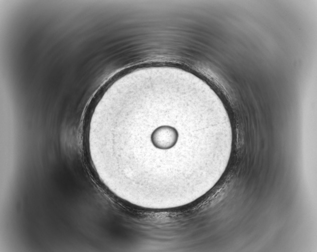 X0000096420828200801311410