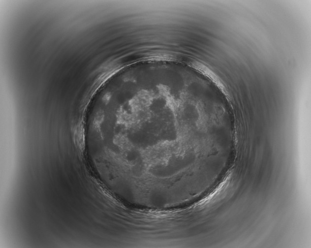 X0000096420829200801311410