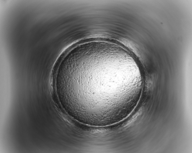 X0000096420830200801311410