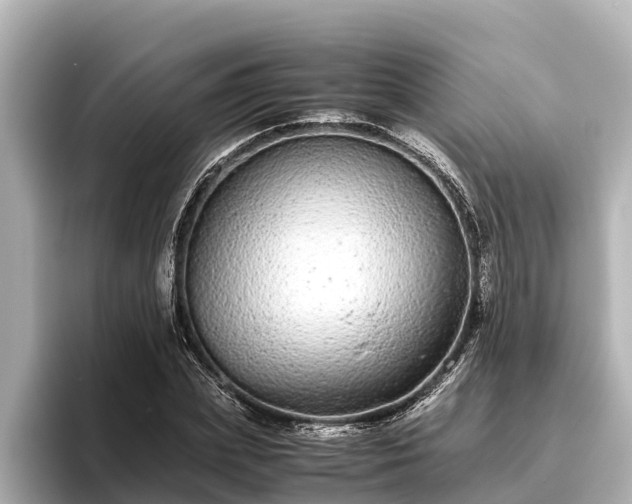 X0000096420831200801311410