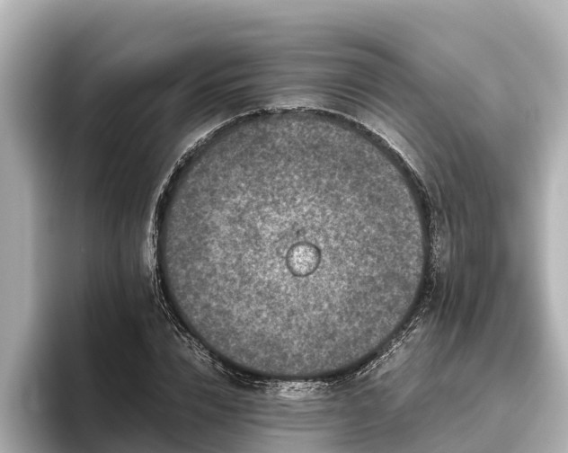 X0000096420832200801311410