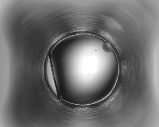 X0000096420834200801311410