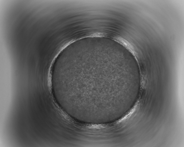X0000096420835200801311410